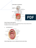 Digesti