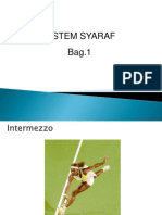 Sistem Syaraf 1