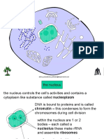 Cell