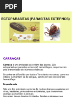 AULA 15 Ectoparsitas carraças.ppt