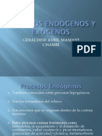 Procesos Endógenos Y Exógenos