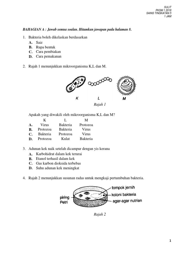 Sains Tingkatan 5 Pdf