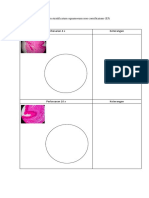 Format Histologi