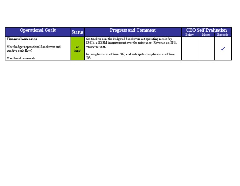 CEO Operational Goals and Performance | PDF