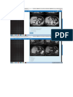 Bazo CT 10 PDF