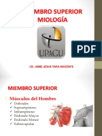 Osteologia y Miologia Del Miembro Superior PDF