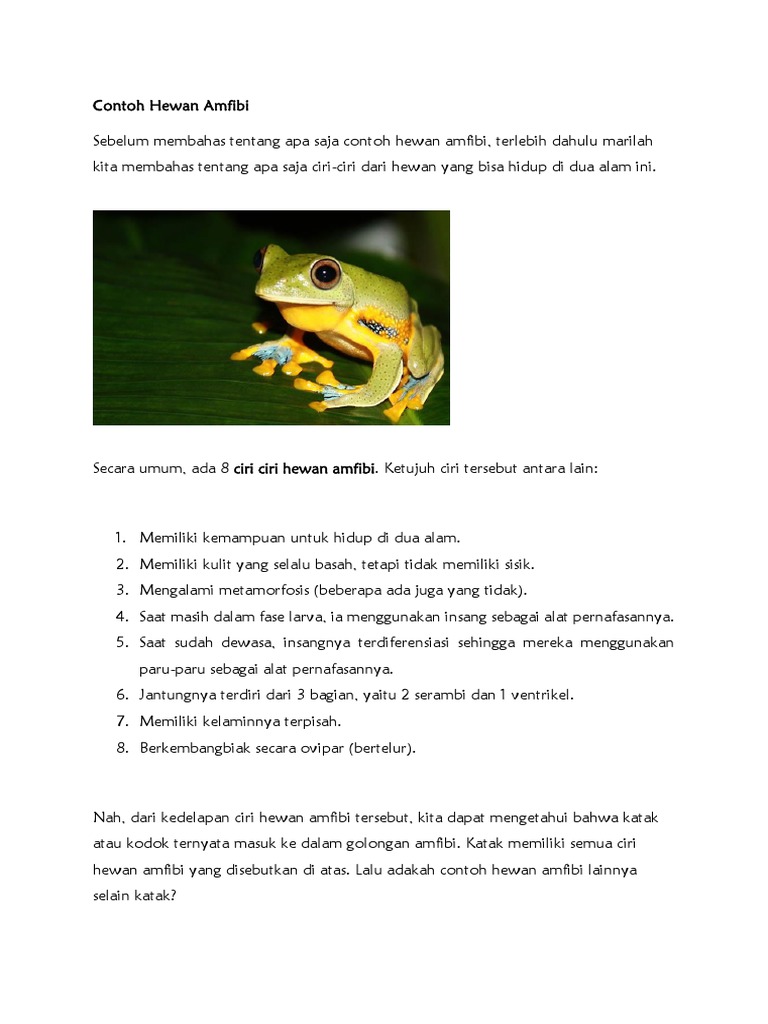 Cover Stkip Pdf