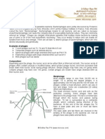 Bacteriophage