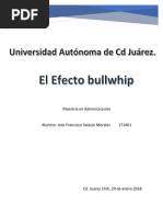 The Bullwhip Effect in Supply Chain.docx