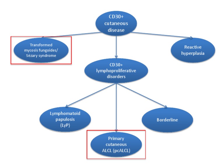 CD30 Cutaneous Disease Flowchart | PDF