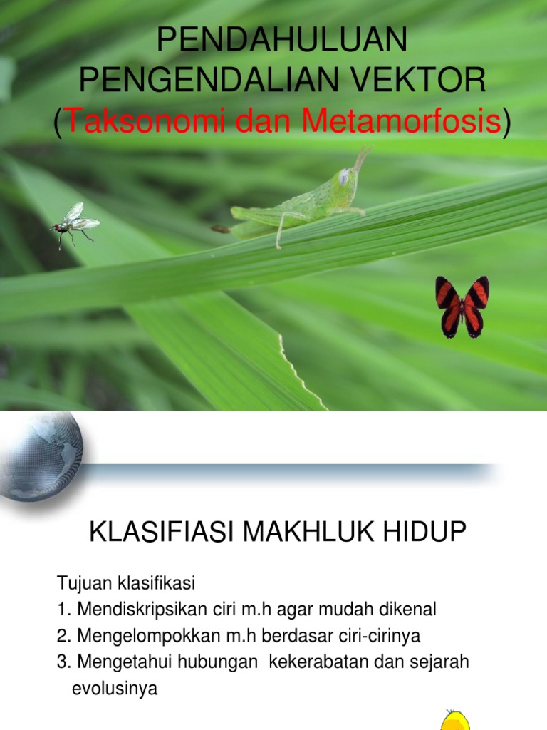 Vektor Awal Copy