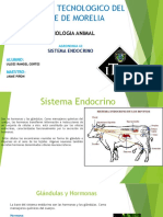 Presentación Sistema Endocrino fisiología animal