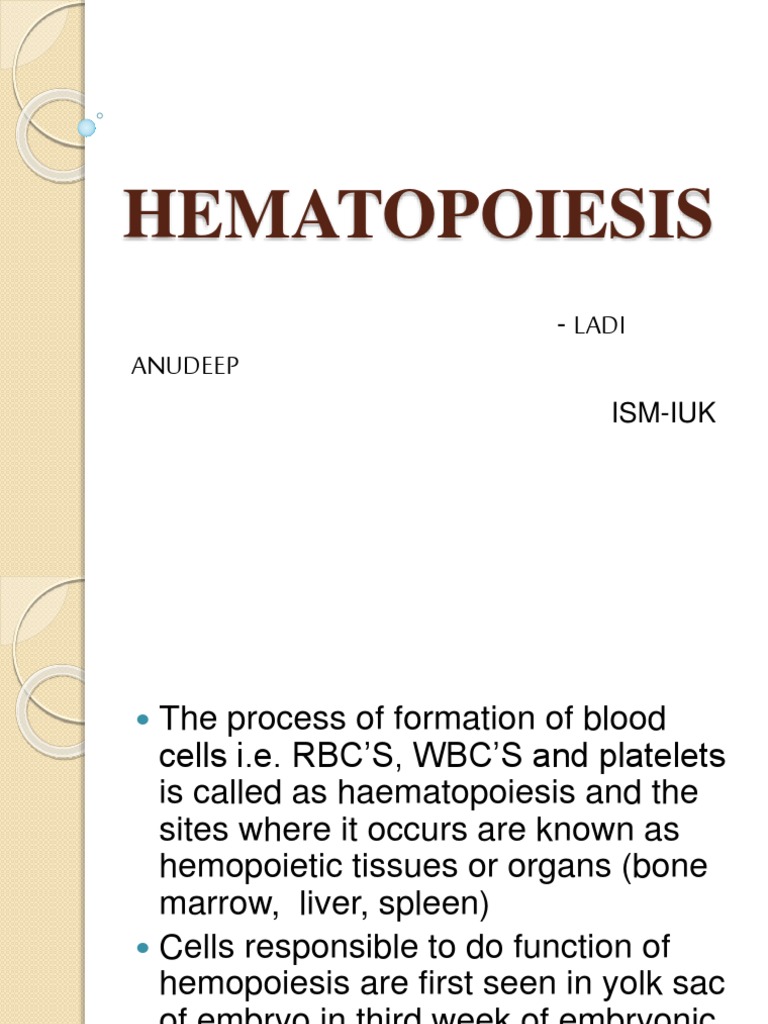 Hematopoiesis: Blood Cell Formation Process | PDF | Haematopoiesis ...
