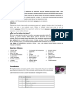 practica de indicador.docx