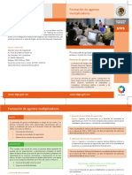 Formacion Agentes Multiplicadores STPS PDF