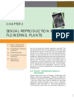 02SEXUAL REPRODUCTION IN FLOWERING PLANTS 2.pdf