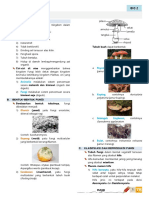 Fungi.pdf