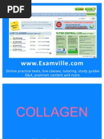Download Collagen by YoAmoNYC SN37361599 doc pdf