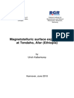 Magnetotelluric Surface Exploration at Tendaho