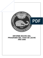 Informe Macro PVL 2006 PDF