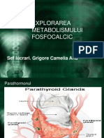 Fosfocalcic