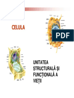 celula3.pdf