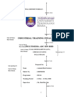 Example of Final Report Format