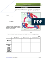 Trabalho8-Ciclo Cardíaco PDF