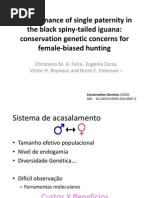Predominance of Single Paternity in the Black Spiny-tailed