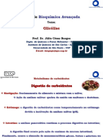 Aula17BioqAvan_Glicoli