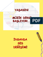 İnsandasesdegisimi