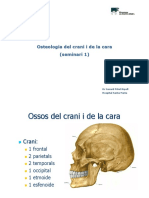 Seminari Osteologia I