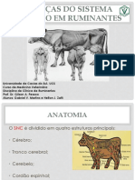 Doenças do Sistema Nervoso em Ruminantes