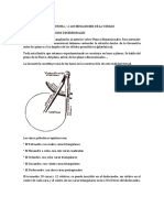 M24 Ampliaci n Planos Dimensionales