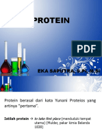 Protein