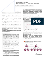 Exercicios de Aprofundamento Nucleo