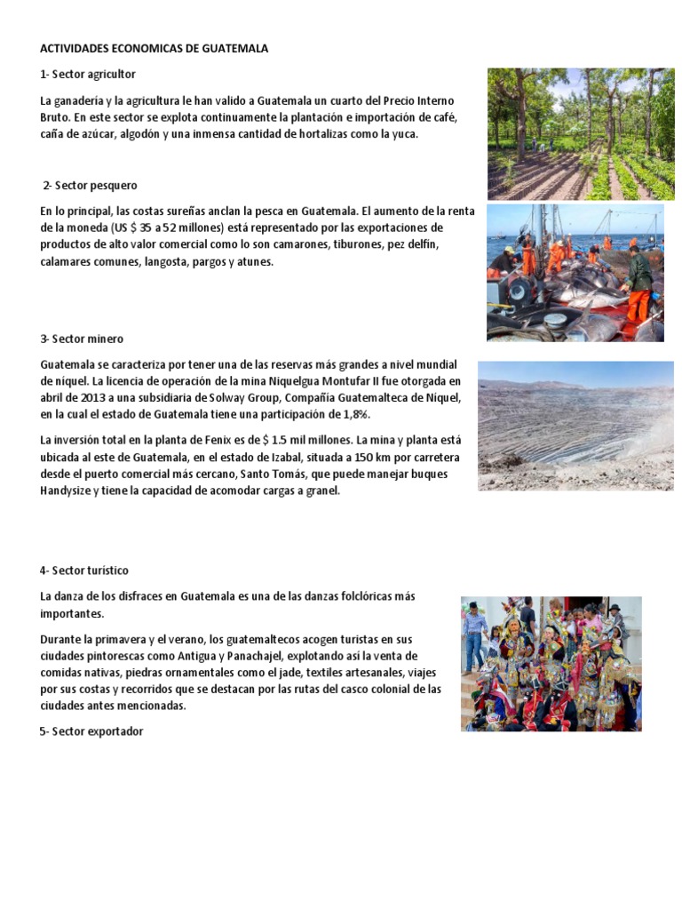 Principales Actividades Económicas de Guatemala | PDF | Guatemala ...