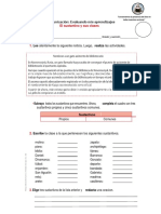 Evaluacion Sustantivo