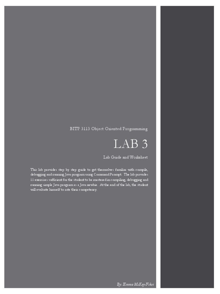 Java Command Prompt Lab Guide | PDF | Computer Programming | Java ...