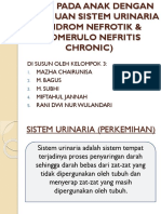 Askep Pada Anak Dengan Gangguan Sistem Urinaria (