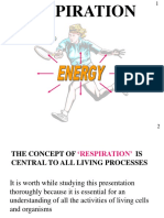 respiration more info.ppt