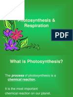 Photosynthesis & Respiration