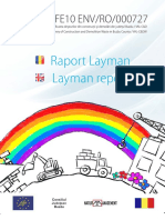 Layman Report
