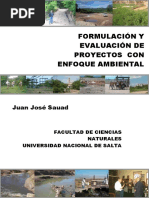 Formulación y Evaluación de Froyectos Ambientales