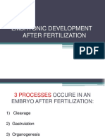 Embryonic Development After Fertilization