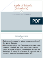Lifecycle of Babecia (Babesiosis) : By: Michael Loir. Velasco