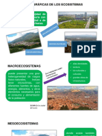 Escalas de Ecosistemas