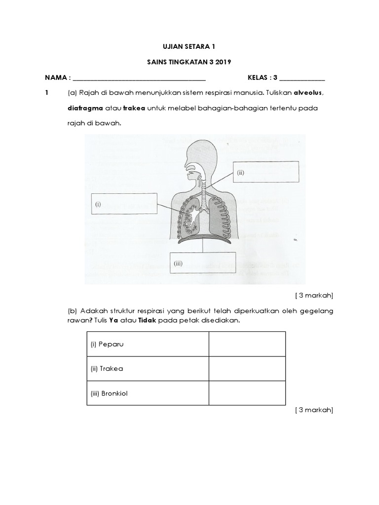 Ujian Setara 1 Sains Tingkatan 3 2018 Pdf