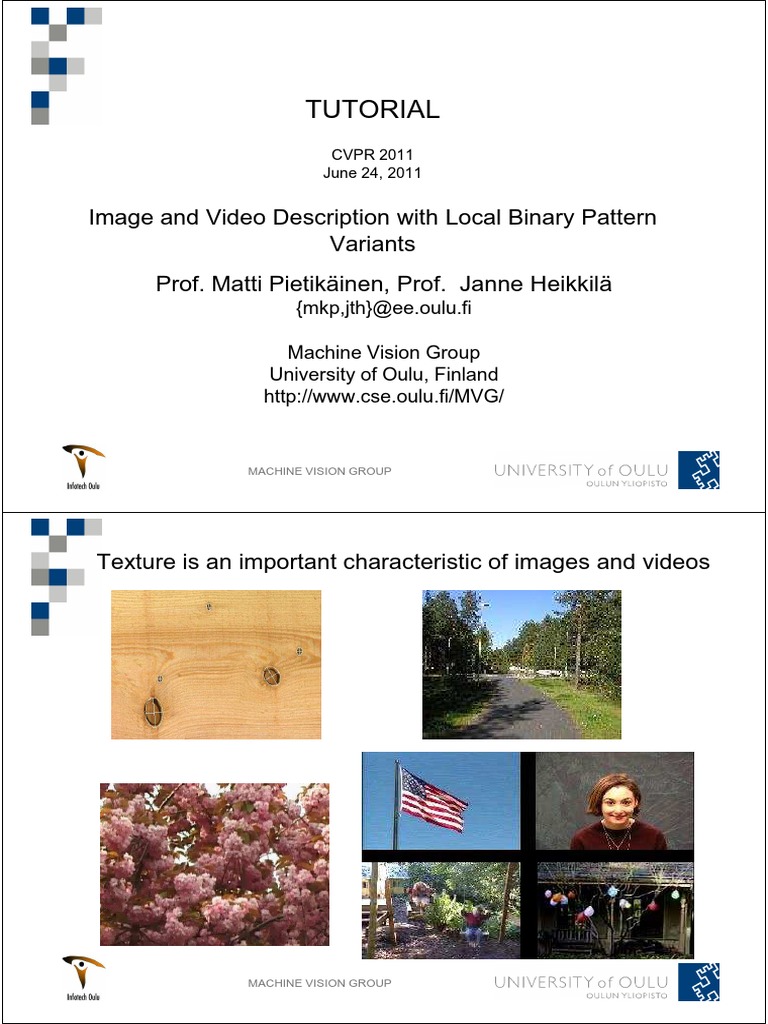 Image and Video Description With Local Binary Pattern Variants CVPR ...