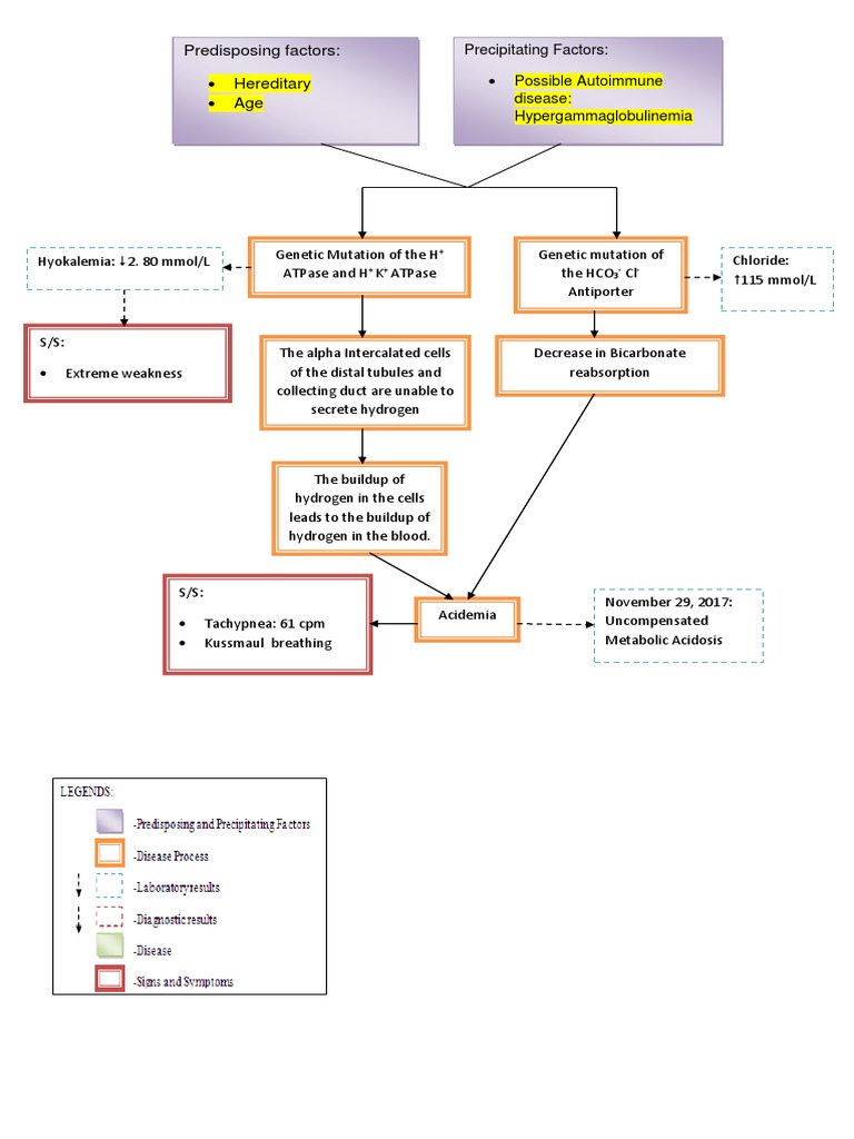Distal RTA Patho | PDF